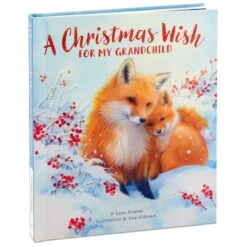 Hallmark A Christmas Wish For My Grandchild Recordable Storybook